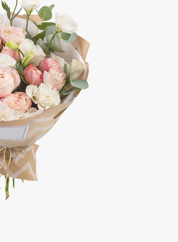 h1-shop-img-7-gallery-1 i