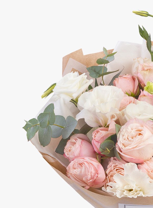 h1-shop-img-7-gallery-2 i