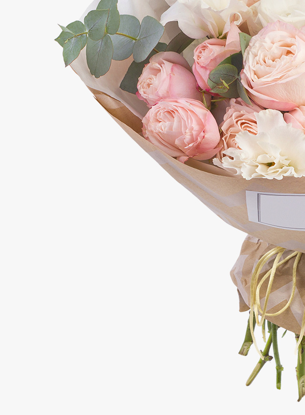 h1-shop-img-7-gallery-3 i