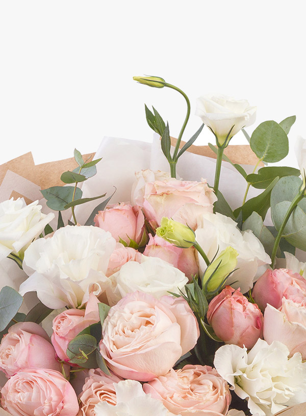 h1-shop-img-7-gallery-4 i